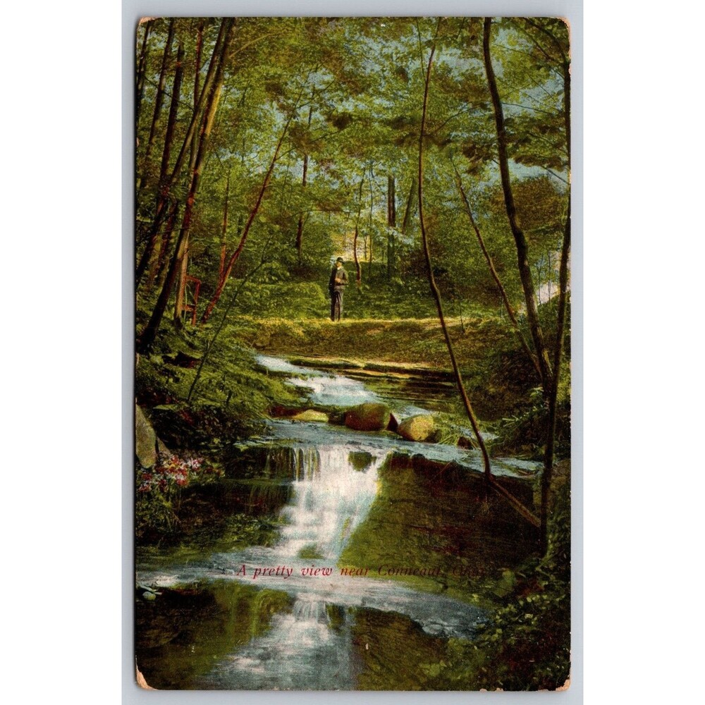 Antique Postcard Conneaut Ohio Waterfall Nature Scene Man in Woods OH c1910s